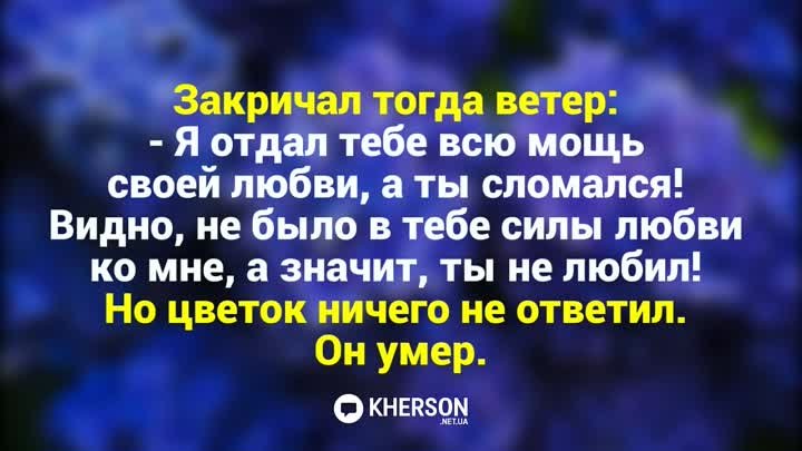 прекрасный цветок