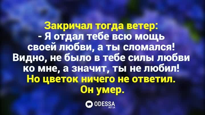 одесса