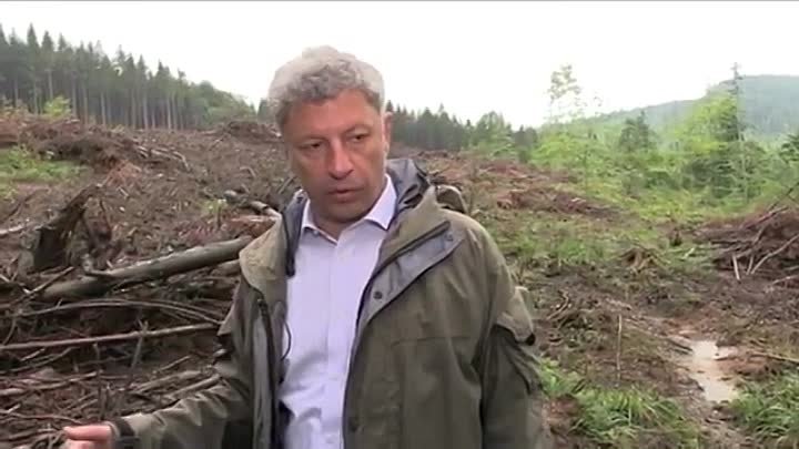 Юрий #Бойко: Ситуация с вырубкой карпатских лесов приняла угрожающие ...