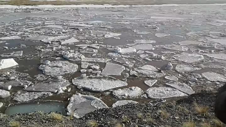 14.04.2017г. ишим жарколь лед пошел