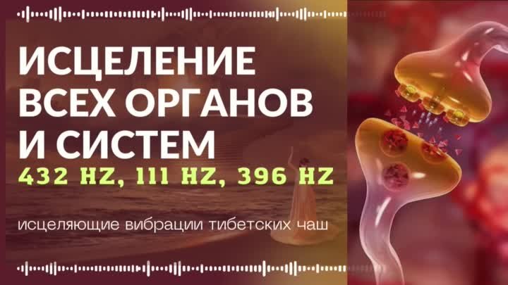 ИСЦЕЛЕНИЕ ВСЕХ ОРГАНОВ ЗВУКОМ ПОЮЩИХ ТИБЕТСКИХ ЧАШ 432 Гц + 396 Гц + 111 Гц