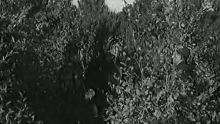 документальный_Тыл танкового батальона (1940)