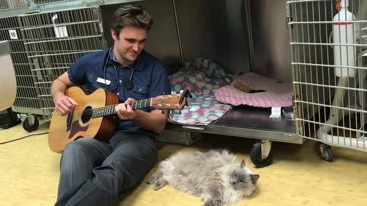 Dr. Ross Henderson играет на гитаре и поёт для пациентов после сложн ...