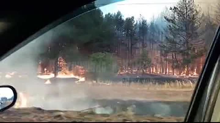 Пожар в лесополосе неподалёку от Каменска-Шахтинского