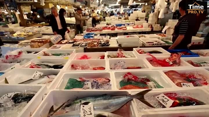 Самый большой рыбный рынок в мире - Цукидзи. Токио. Япония.