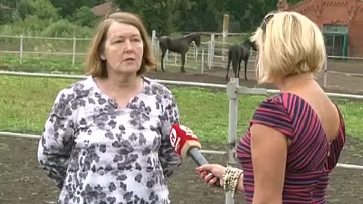 Новотомниковский конный завод