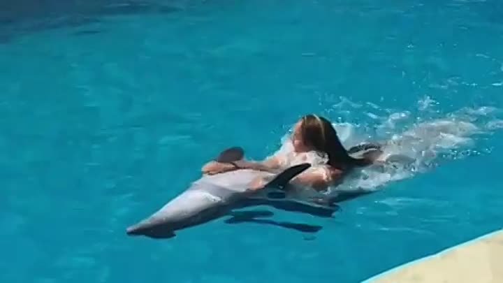 Дельфины_целители