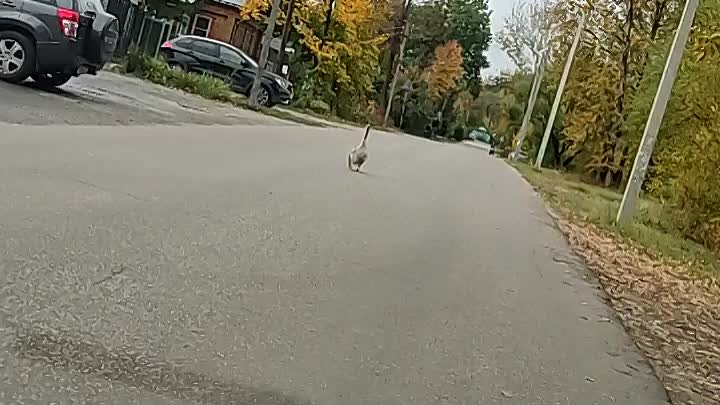 Судогодский. Наш! - Видео от Судогодский. Наш! (2)