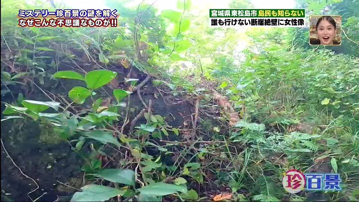 ナニコレ珍百景 動画　宮城…松島沖の島の断崖絶壁に彫られた女性像の謎 | 2022年10月2日