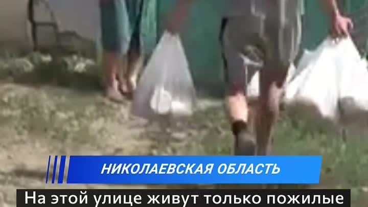 Волонтёры России везут людям помощь…