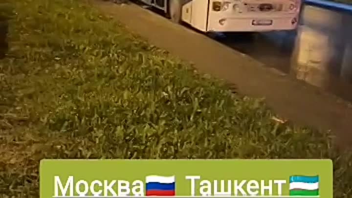 Москва Ташкент автобус Санкт-петербург ташкент автобус +79660667066