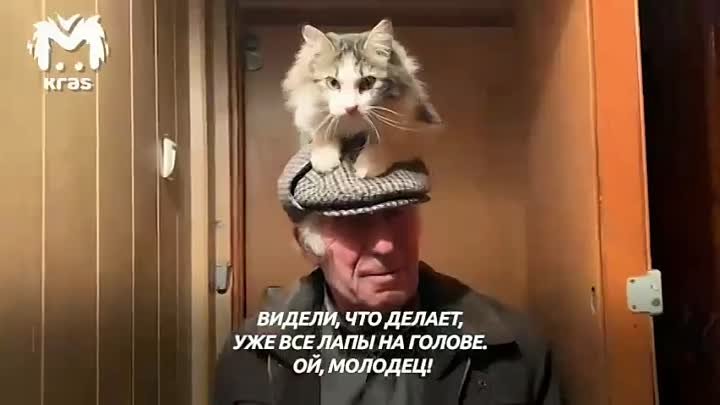 Дедушка и его кот Филлимон город Назарово