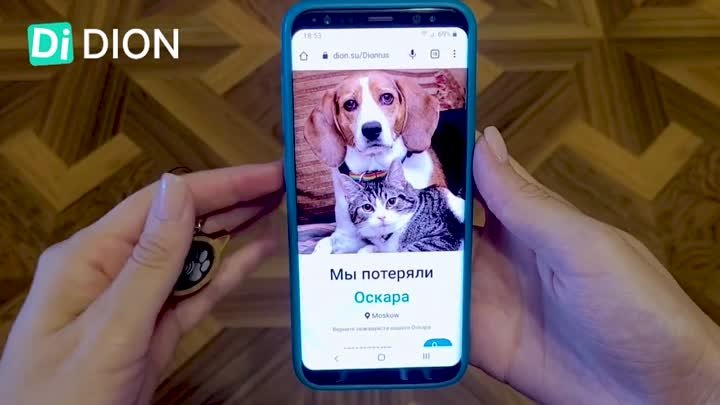 Обзор и Инструкция умного NFC брелока (DION) . Адресника для животных