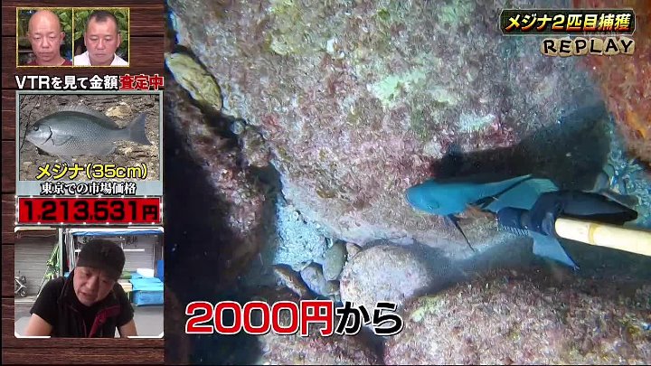 ナスD大冒険TV 動画 知られざる文化・住む人々の暮らしをレポートする超本気紀行ドキュメント番組! | 2022年9月9日