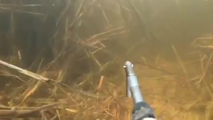 подводная охота
