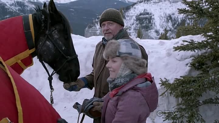 Лошади Макбрайд / The horses of mcbride 2012 Канада