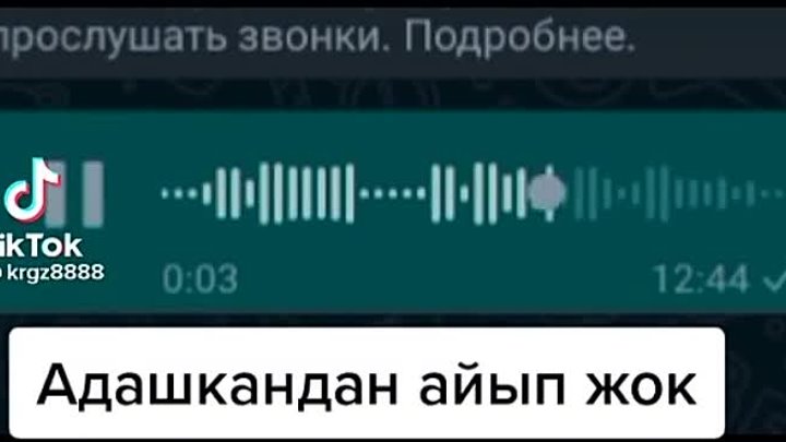 Адашпай жүргүлөчү  🤭