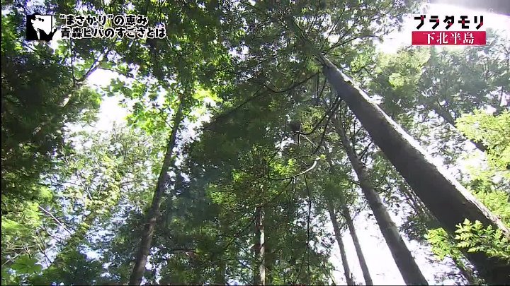 ブラタモリ 動画　2022年9月24日　  内容：“まさかり”のかたちに似た青森県の下北半島。 | 2022年9月24日