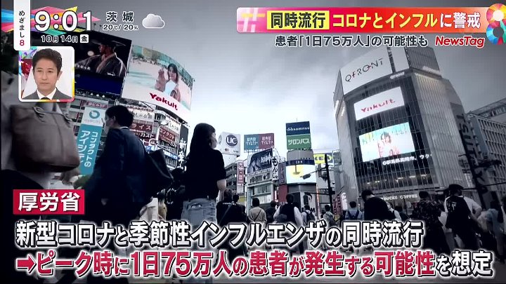 めざまし8 動画  内容：観光バス横転で死傷者が乗客を襲った衝撃は富士駿河湾ツアー突如暗転 | 2022年10月14日