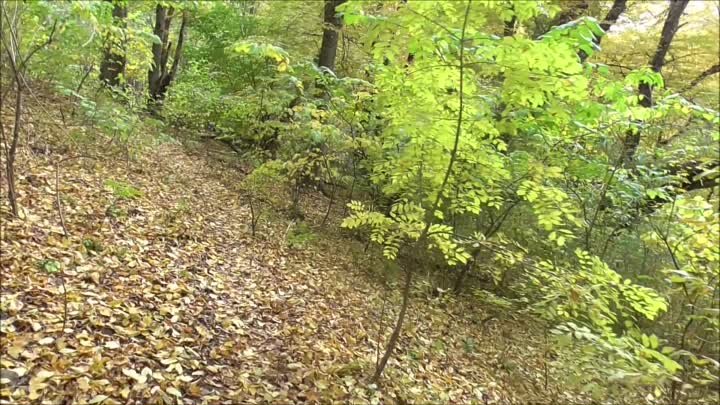 Осенняя прогулка по Тропе Нартов на гору Нартия Нальчик 25 10 22