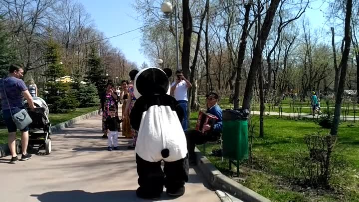 панда в загородном парке