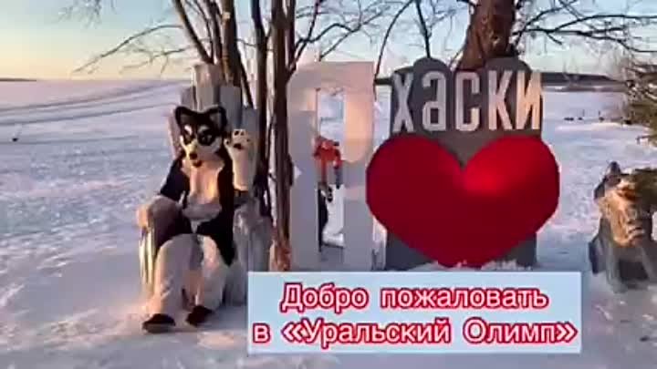 Видео от Хаски-центр &quot-Уральский Олимп&quot-