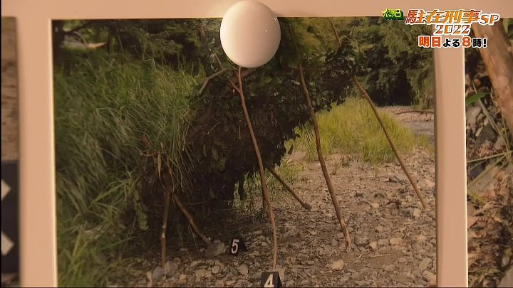 日曜ミステリー 動画　絶景の奥多摩・水根渓谷でロボット開発を巡る連続殺人事件が発生 | 2022年10月16日