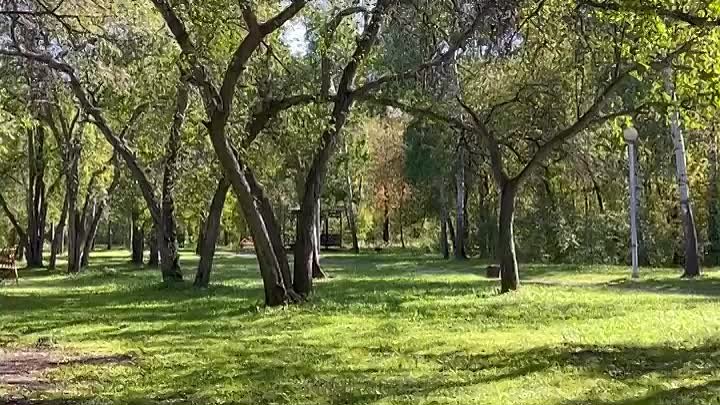 Кузбасский Парк