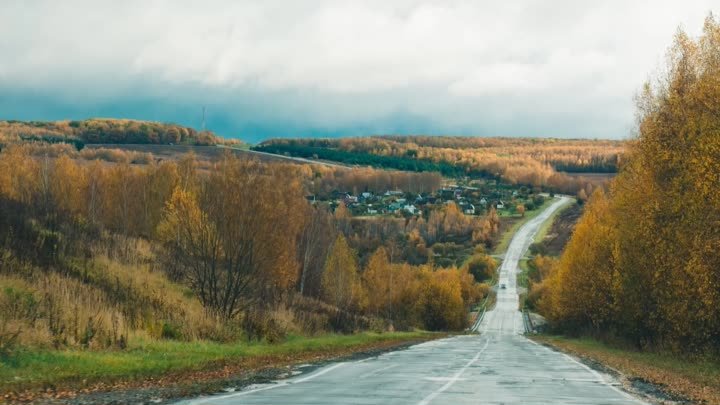 Ласточки! Сергей Васильев , читает Лесана Мировая