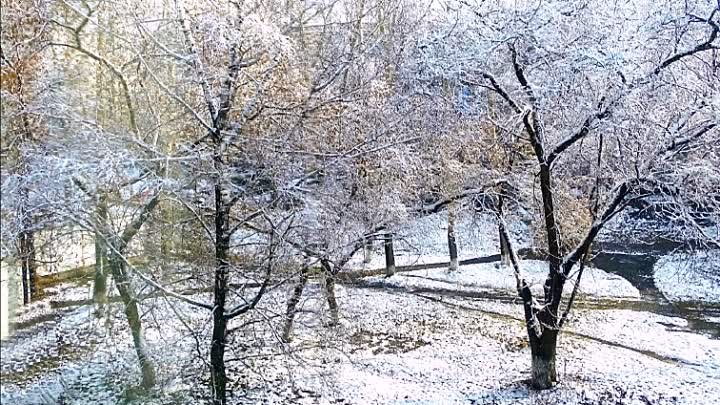 Зима вязала снежный плед исп. Лариса Крылова (ролик А.Синицы)