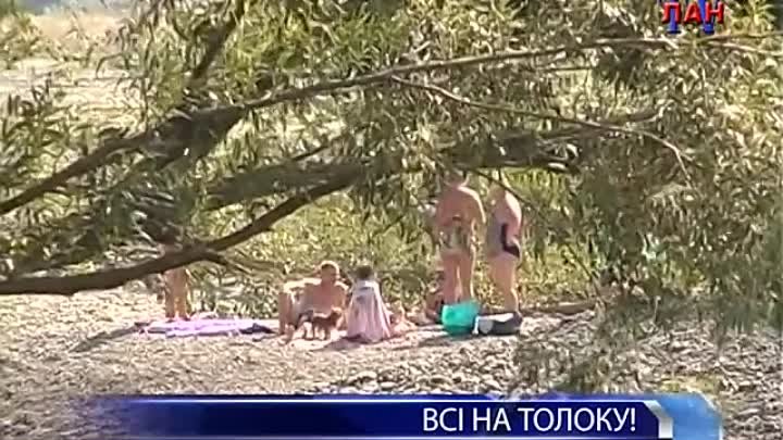 Всі на толоку -11.04.14