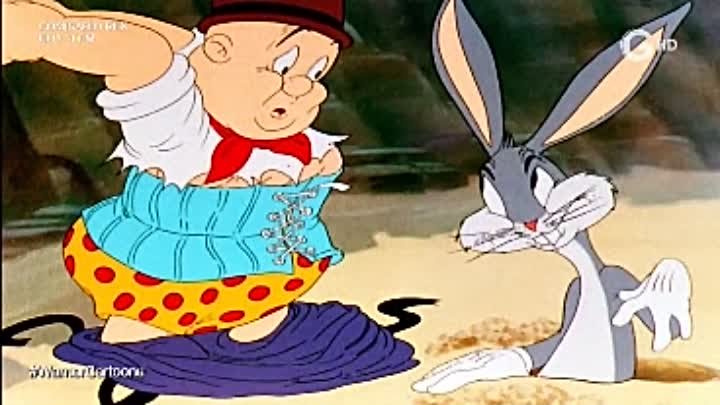 Bugs Bunny y Elmer - The Wacky Wabbit (Redoblaje Latino)