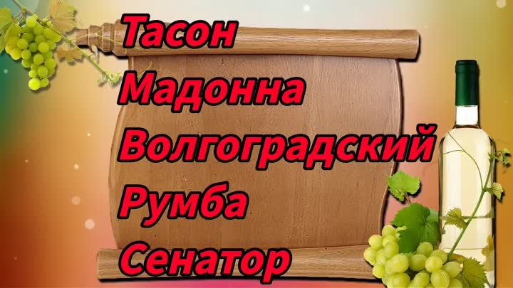 Продаются черенки винограда 