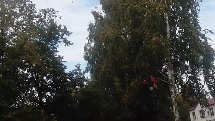 Акция "голубь мира" (полёт шаров). 2017

