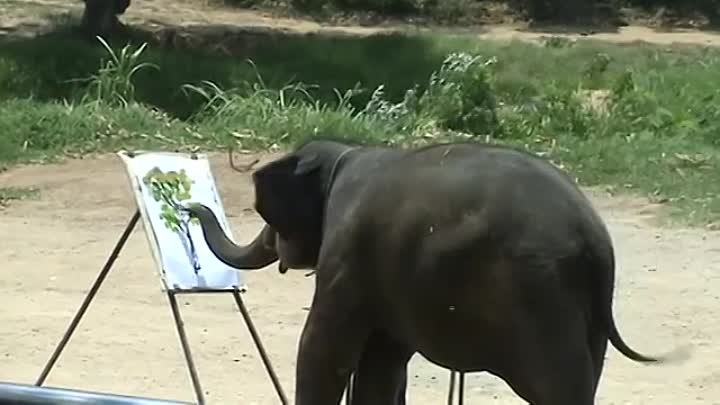 Слон - художник, Таиланд.