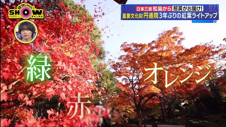 1億3000万人のSHOW 動画 日本全国 紅葉絶景をベスト5をお届け | 2022年11月12日