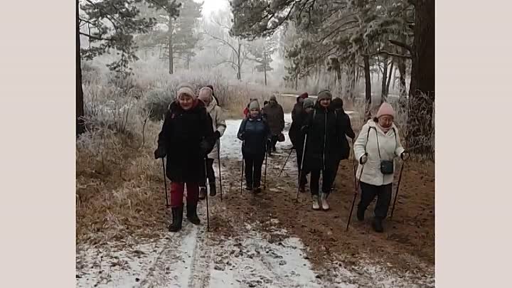 День ☀здоровья "Сосновый🌲 лес"