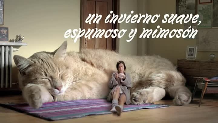 Arlistan 'Le Gató' Самая лучшая реклама с котом