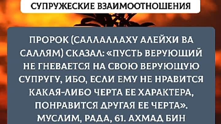 СУПРУЖЕСКИЕ ВЗАИМООТНОШЕНИЯ. [1] #islamsemua