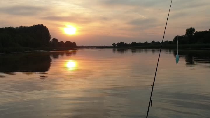 Встретили косулей на рыбалке 🐟 не обычный случай на рыбалке 🎣