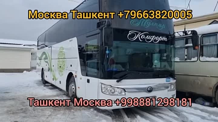 Москва Ташкент автобус 