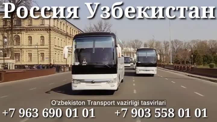 Краснодар Ташкент такси, Краснодар Ташкент автобус, автобус Краснода ...