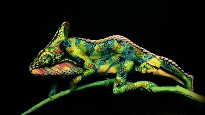 Невероятный Боди-арт. Хамелеон. Amazing Body Paint Art. Chameleon