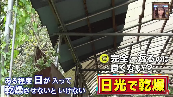 ポツンと一軒家 動画 沢村一樹が「東京の価値観とは全く違いますね！」 | 2022年12月25日