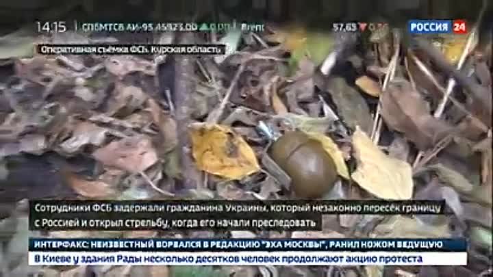 В Курской области украинец обстрелял пограничников