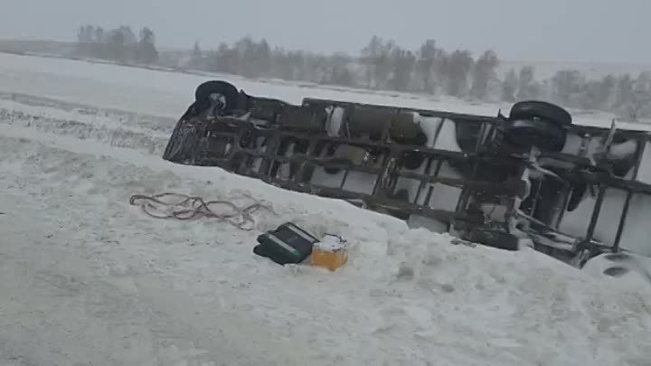 На Саре очень много перевертышей!