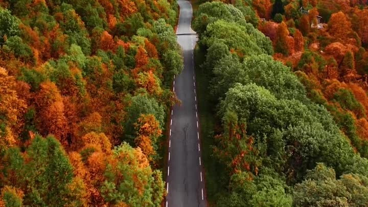 Осень в Норвегии 🍂🍁