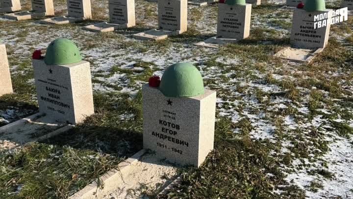 В Волгоградской области почтили память Неизвестного солдата 