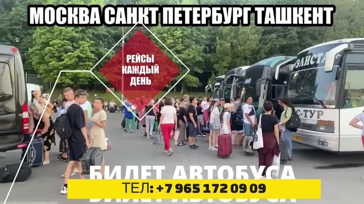 Москва Питер Краснодар Ташкент автобус спринтер такси