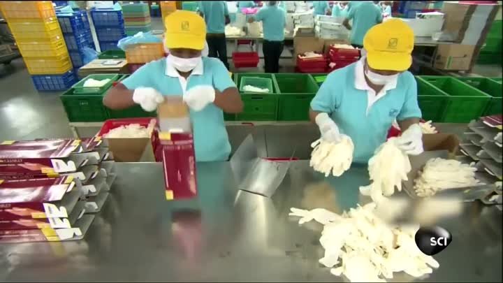 Процесс изготовления резиновых перчаток